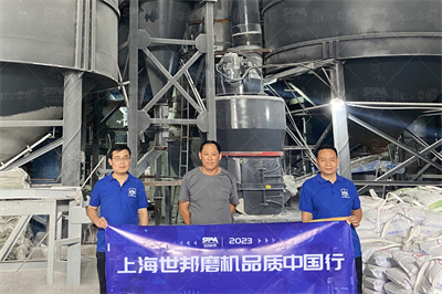 石灰岩深加工产品、设备与工艺_中粉碳酸钙行业门户